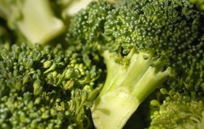 Brokoli (Brassica oleracea var. Italica)