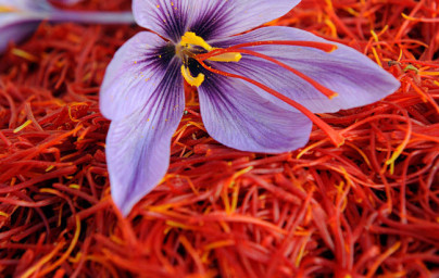 Žafran (Crocus sativus)