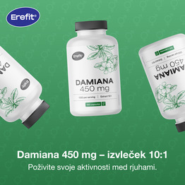 3x Damiana 450 mg – izvleček 10:1, skupaj 300 kapsul