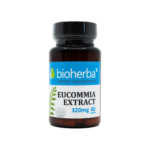 Eucommia izvleček 320 mg, 60 kapsul