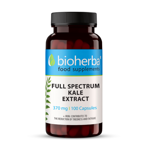 Ohrovt (kale)