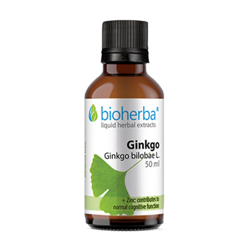 Ginko biloba tinktura