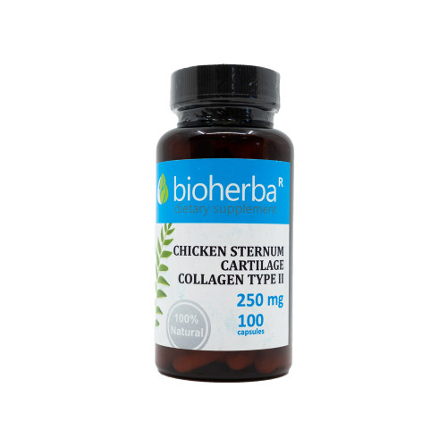 Kolagen tipa II 250 mg, 100 kapsul