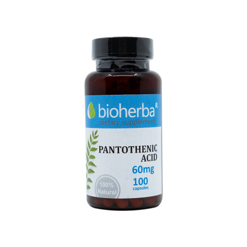 Vitamin B5 (pantotenska kislina) 60 mg, 100 kapsul