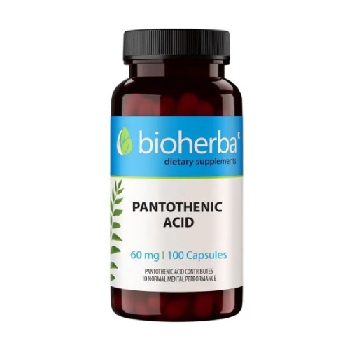 Vitamin B5 (pantotenska kislina) 60 mg, 100 kapsul