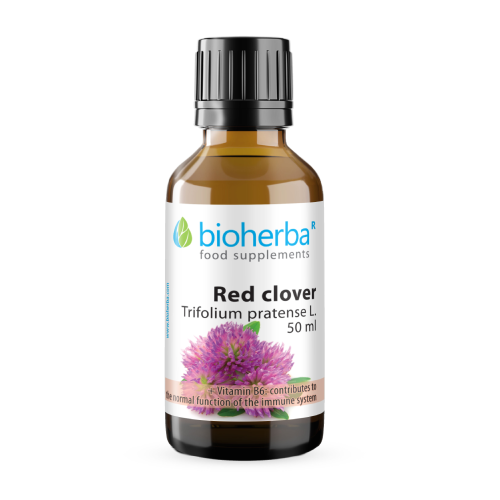 Črna detelja - tinktura, 50 ml