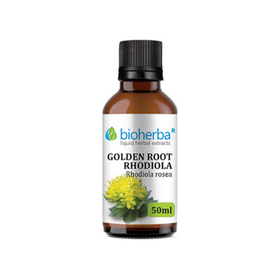 Tinktura Rhodiola rosea