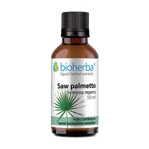 Saw Palmetto tinktura