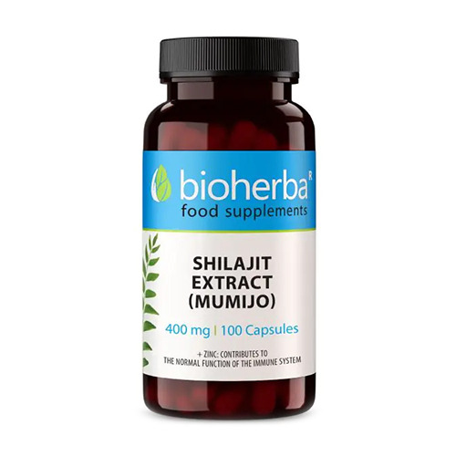 Shilajit (Mumia) 