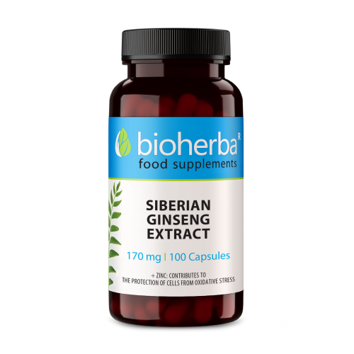 Sibirski ginseng v kapsulah
