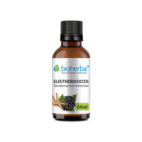 Tinktura Sibirski ginseng