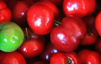 Acerola