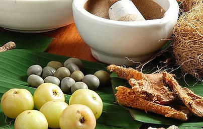 Ajurvedska zelišča in imunski sistem