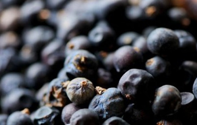 Poznate brinove jagode?