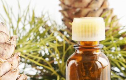 Vsestranskost uporabe cedrinega eteričnega olja