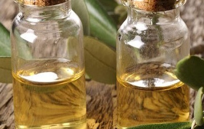 Olje čajevca – Tea Tree