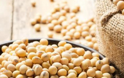 Je sojin lecitin nevaren za zdravje?