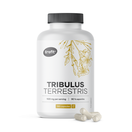 Tribulus – navadna zobačica 1920 mg