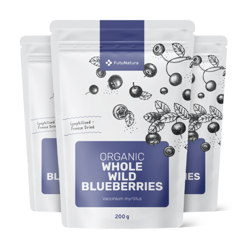 3x BIO Divje borovnice – cele, skupaj 600 g