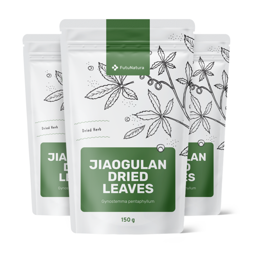 3x Jiaogulan sušeni listi, skupaj 450 g