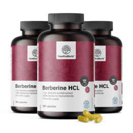 3x Berberin HCL 500 mg, skupaj 540 kapsul