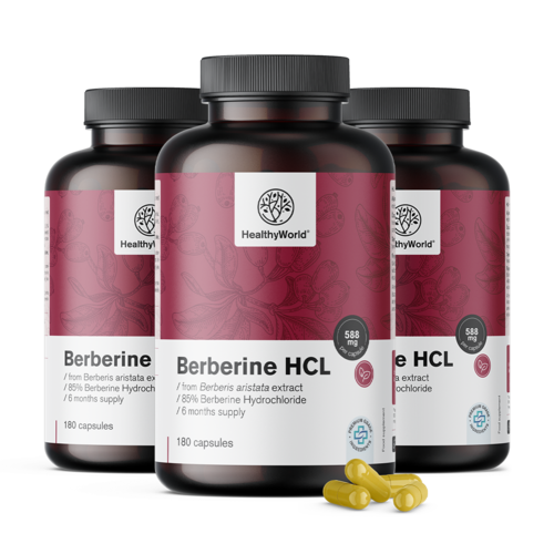 3x Berberin HCL 500 mg, skupaj 540 kapsul