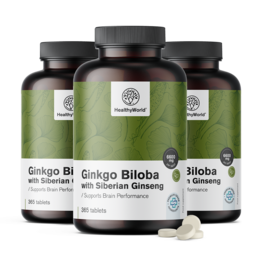 3x Ginko biloba s sibirskim ginsengom 6600 mg, skupaj 1095 tablet