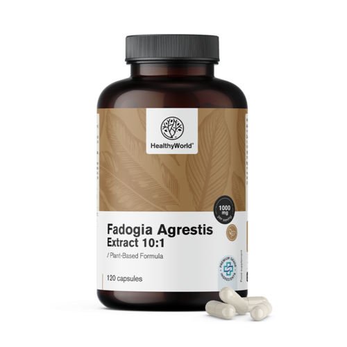 Fadogia Agrestis 1000 mg, 120 kapsul