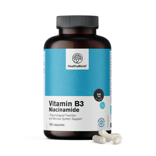 Vitamin B3 500 mg – niacinamid, 180 kapsul