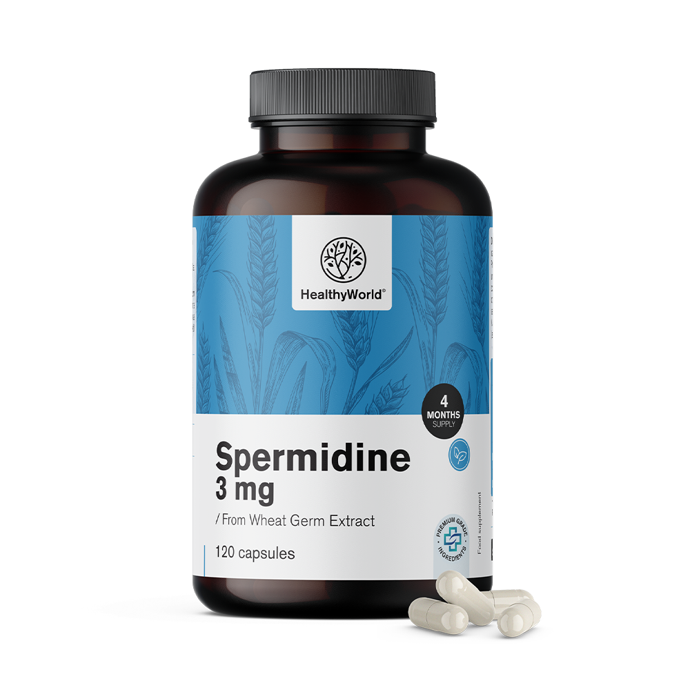 Spermidin 3 mg – iz izvlečka pšeničnih kalčkov