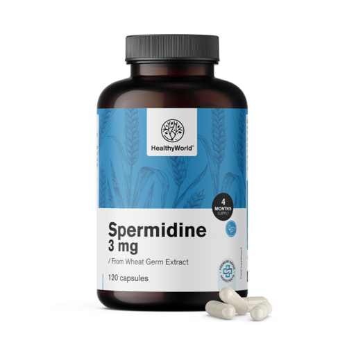 Spermidin 3 mg – iz izvlečka pšeničnih kalčkov
