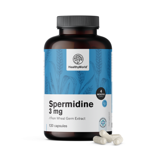 Spermidin 3 mg – iz izvlečka pšeničnih kalčkov, 120 kapsul