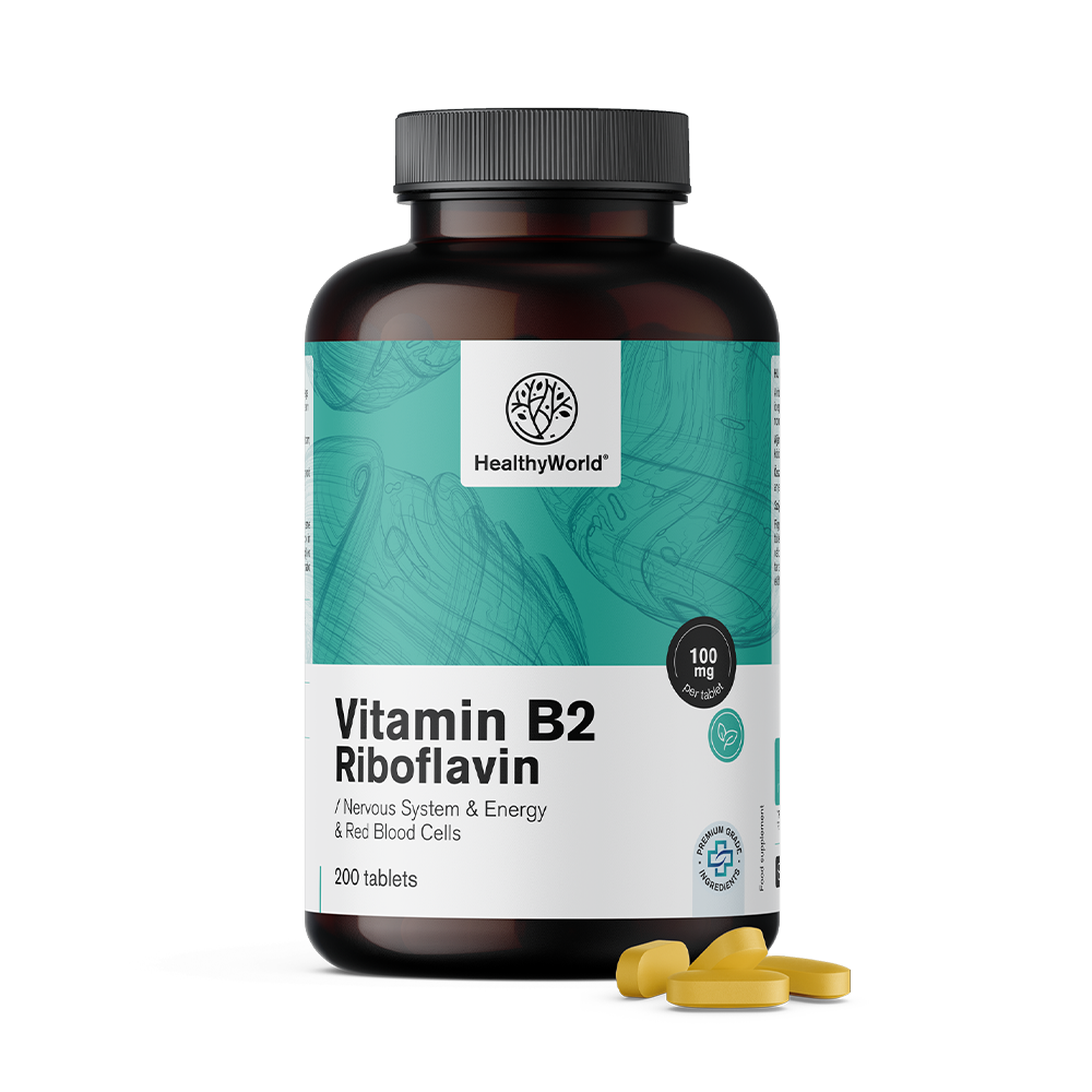 Vitamin B2 – riboflavin 100 mg