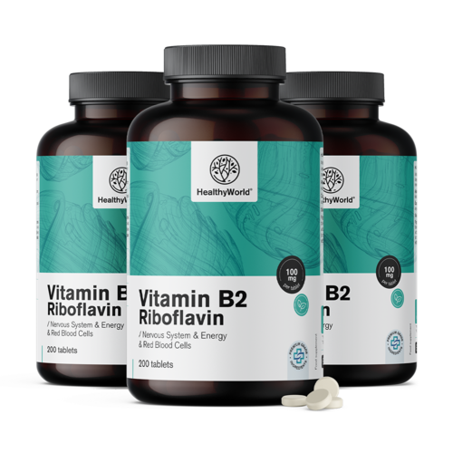 3x Vitamin B2 – riboflavin 100 mg, skupaj 600 tablet