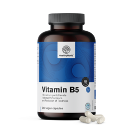 Vitamin B5 500 mg, 240 kapsul