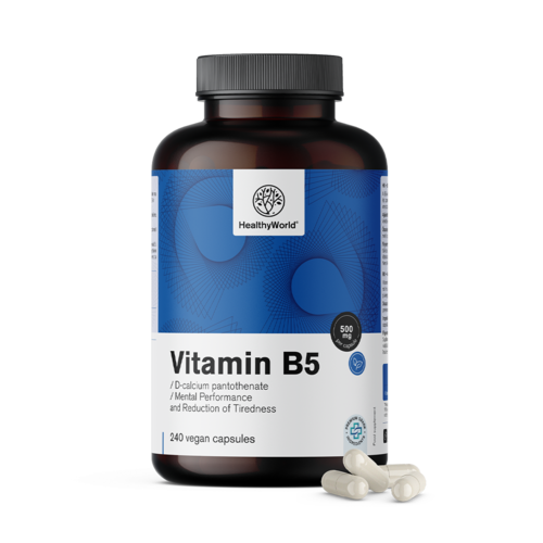 Vitamin B5 500 mg