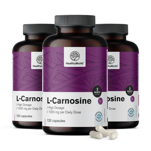 3x L-karnozin 1000 mg, skupaj 360 kapsul