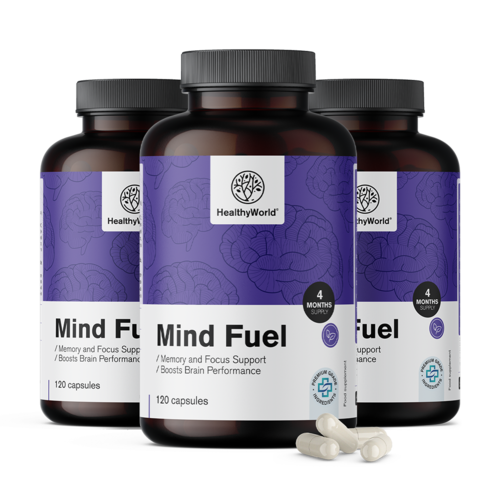 3x Mind Fuel – spomin in koncentracija, skupaj 360 kapsul
