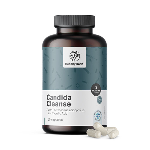 Candida Cleanse z Lactobacillus acidophylus in Bifidobacterium bifidum