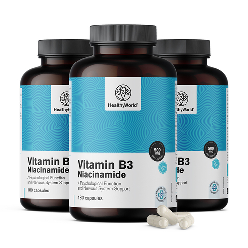 3x Vitamin B3 500 mg – niacinamid, skupaj 540 kapsul