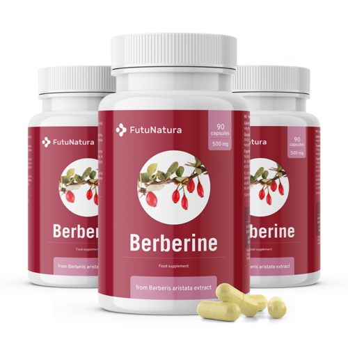 3x Berberin 500 mg, skupaj 270 kapsul
