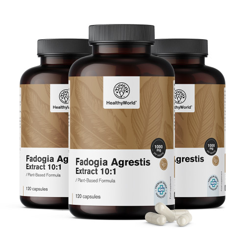 Fadogia Agrestis 1000 mg v kapsulah