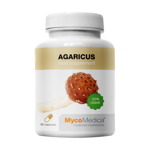 Agaricus gobe