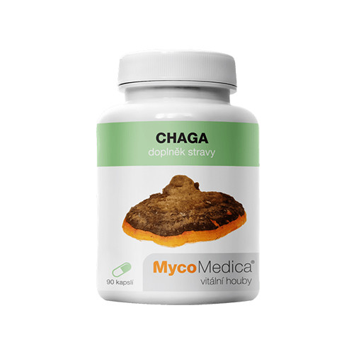 Chaga medicinska goba