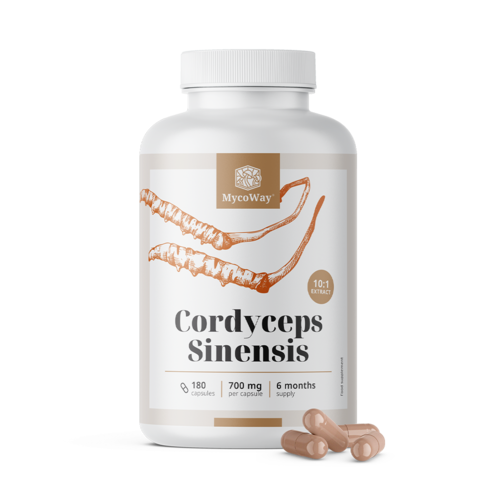 Cordyceps sinensis 1400 mg – izvleček 10:1, 180 kapsul