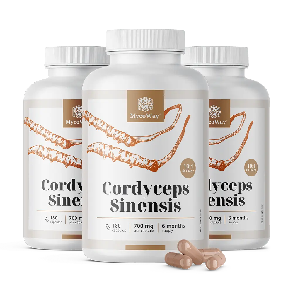 Cordyceps sinensis 1400 mg – izvleček 10:1