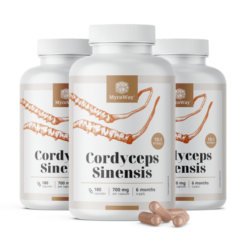3x Cordyceps sinensis 1400 mg – izvleček 10:1, skupaj 540 kapsul