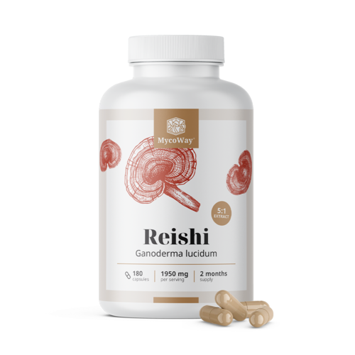 Reishi 1950 mg – izvleček 5:1, 180 kapsul
