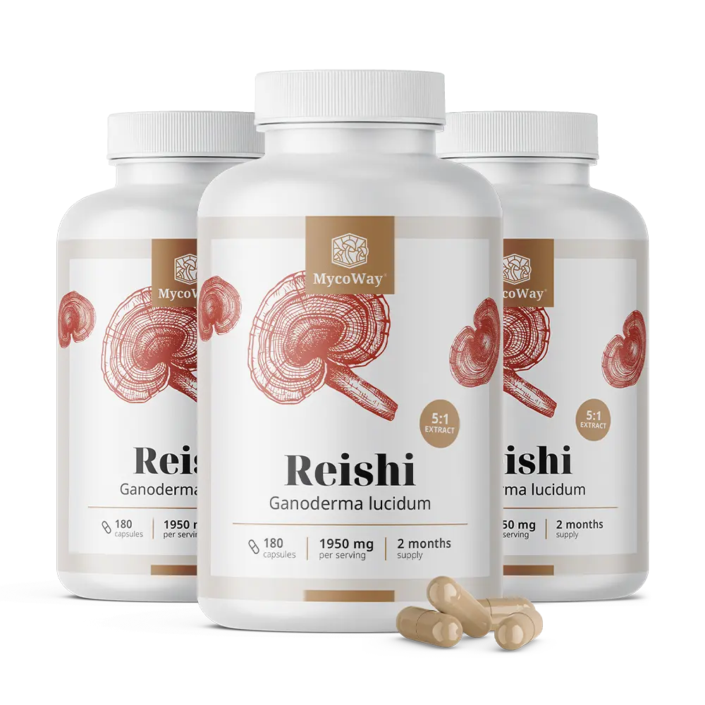 Reishi 1950 mg – izvleček 5:1