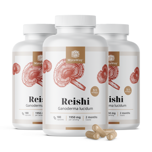 3x Reishi 1950 mg – izvleček 5:1, skupaj 540 kapsul
